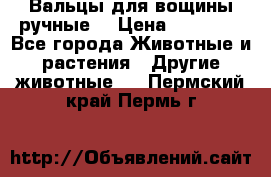 Вальцы для вощины ручные  › Цена ­ 10 000 - Все города Животные и растения » Другие животные   . Пермский край,Пермь г.